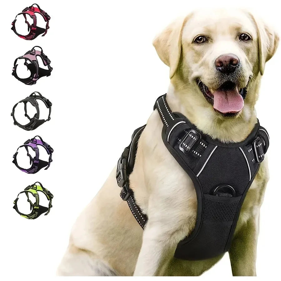 Harnais, Collier & Laisse en Cuir pour Chien — Royal Creature