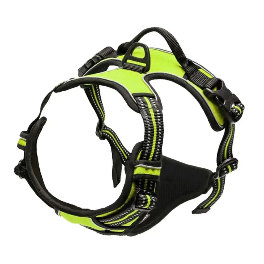 Harnais, Collier & Laisse en Cuir pour Chien — Royal Creature