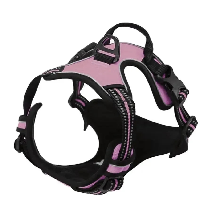 Harnais, Collier & Laisse en Cuir pour Chien — Royal Creature