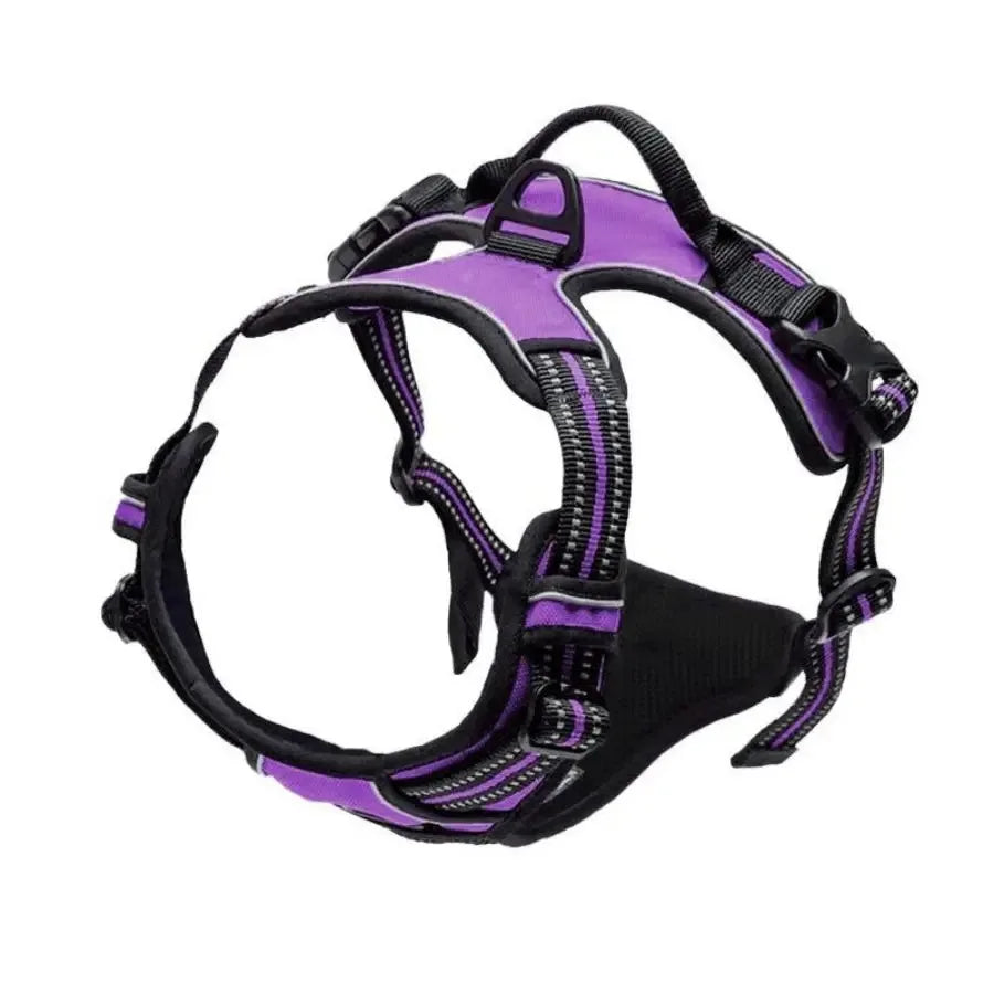 Harnais, Collier & Laisse en Cuir pour Chien — Royal Creature