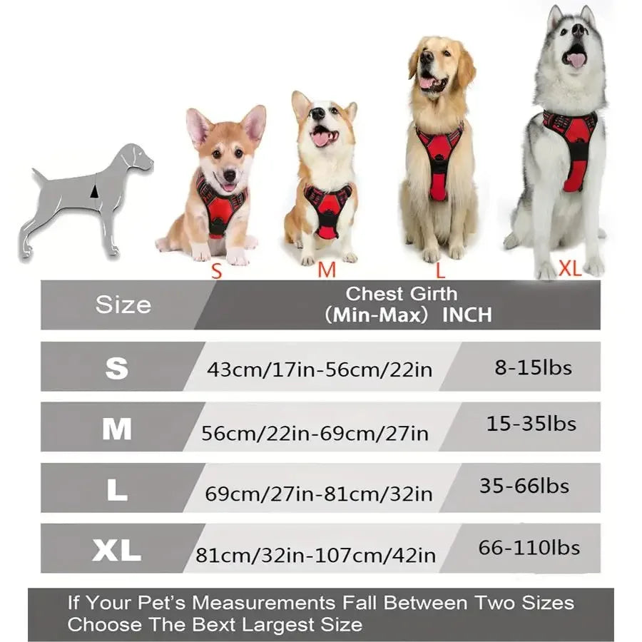Harnais, Collier & Laisse en Cuir pour Chien — Royal Creature