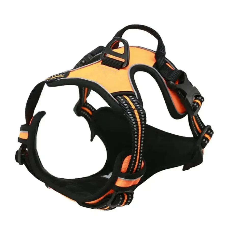 Harnais, Collier & Laisse en Cuir pour Chien — Royal Creature