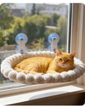 Hamac de fenêtre pour chat – Perchoir solaire ventouses XL