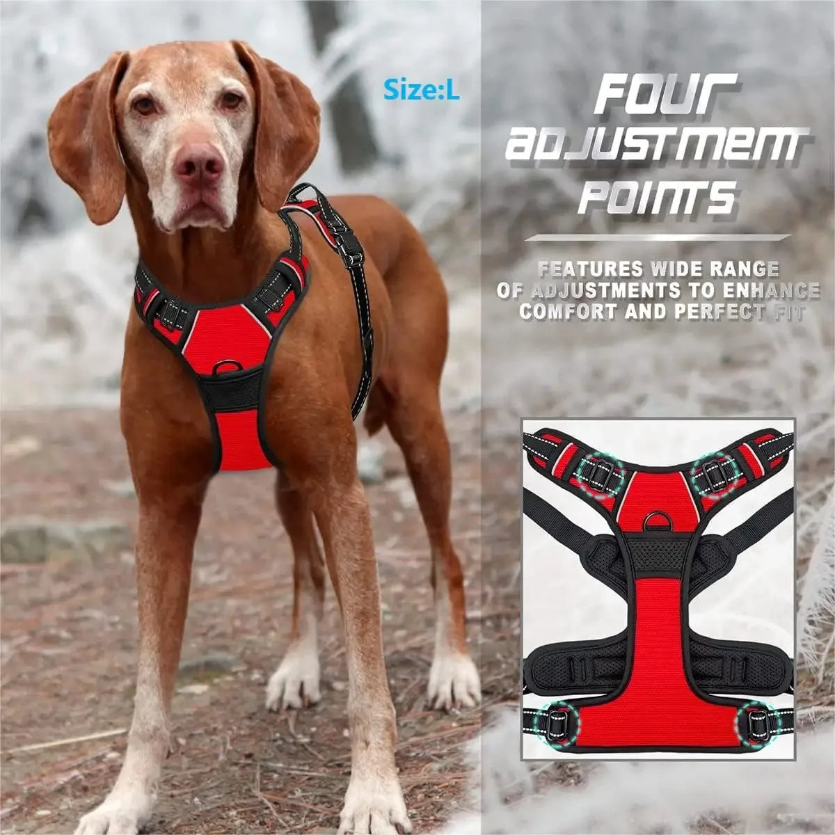Harnais, Collier & Laisse en Cuir pour Chien — Royal Creature