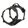 Harnais, Collier & Laisse en Cuir pour Chien — Royal Creature