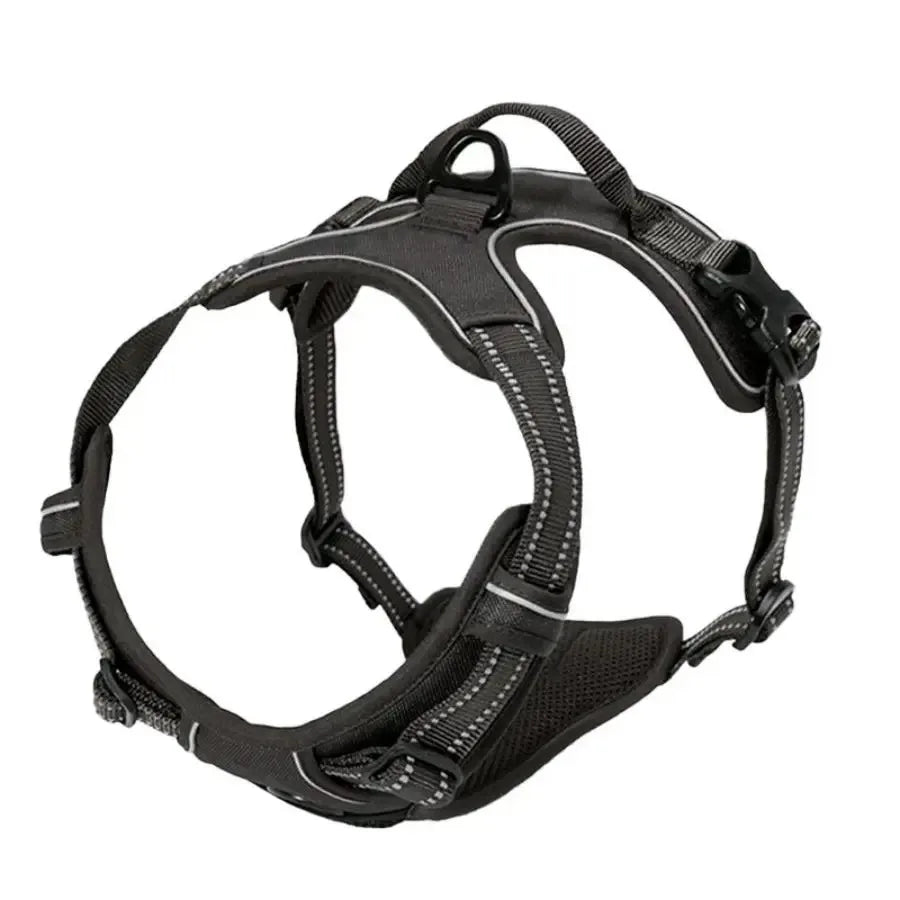 Harnais, Collier & Laisse en Cuir pour Chien — Royal Creature
